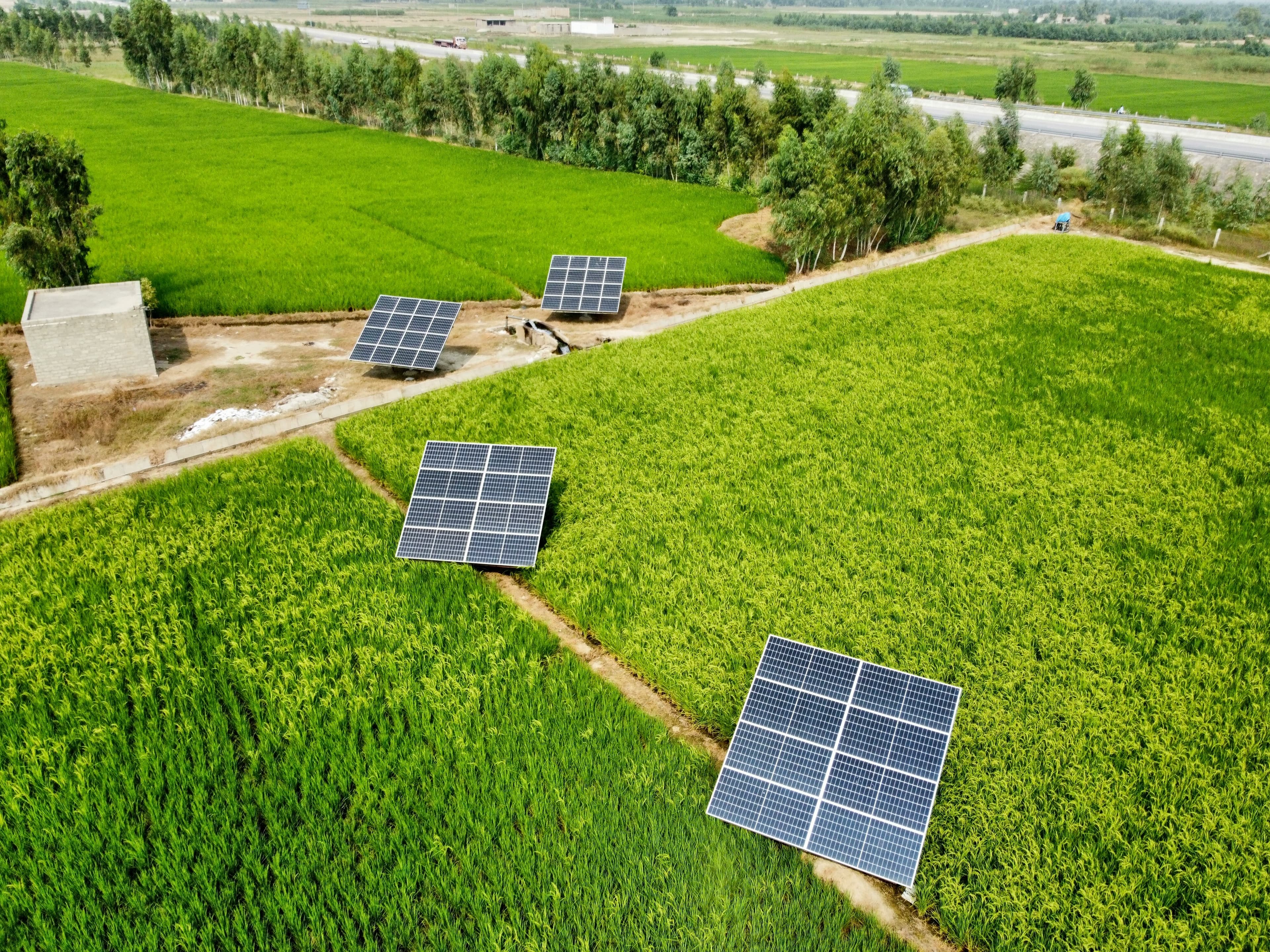 Solar panel array